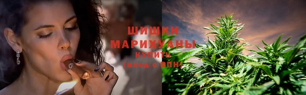 наркотики Бородино