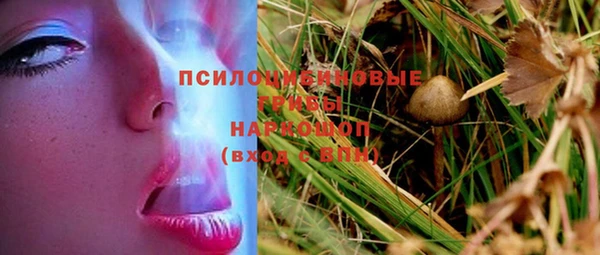 гидропоника Бугульма
