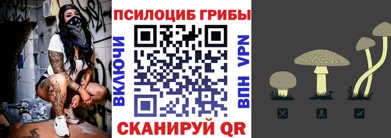 мориарти какой сайт Пермь Псилоцибиновые грибы мухоморы